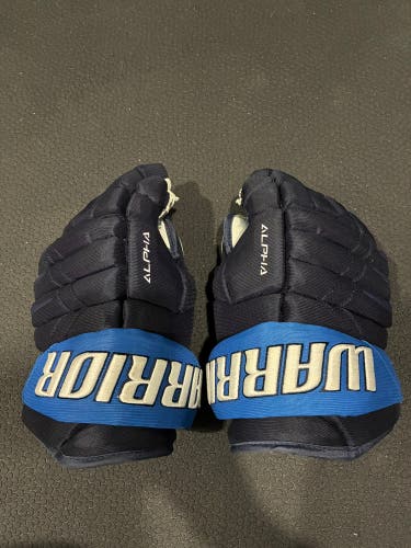 Warrior Alpha DX Pro Gloves 13" (Used)