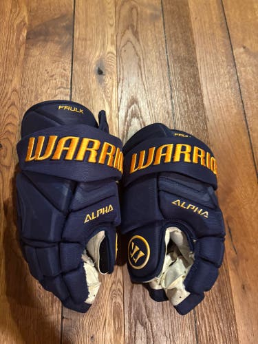 Warrior Alpha Gloves 14" Pro Stock (Used)