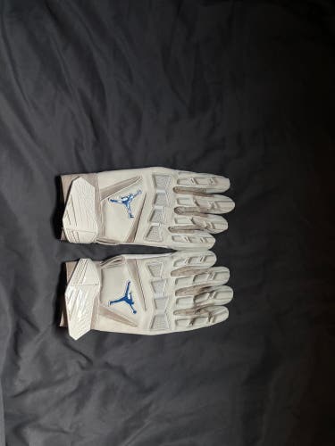 3XL Adult Jordan Gloves (Used)