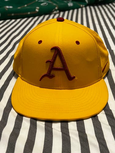 Nike NCAA Arkansas Razorbacks Baseball Cap