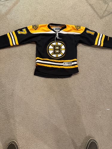 Boston Bruins Lucic #17