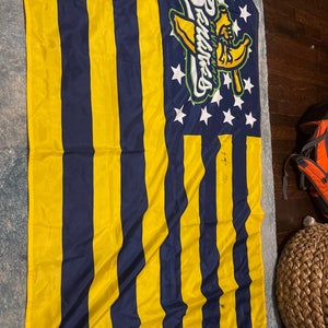 Jesse Cole, Founder of banana ball signed Savannah Bananas Flag.
