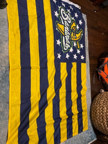 Jesse Cole, Founder of banana ball signed Savannah Bananas Flag.