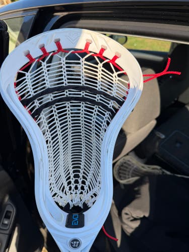 Warrior Evo Strung Head (Used)