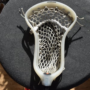 Warrior Strung Burn FO Head (Used)