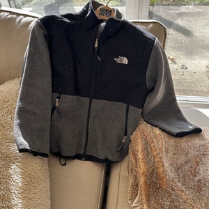 Gray Boys Large The North Face Jacket (Used)