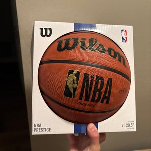 Wilson Basketball (New) official size