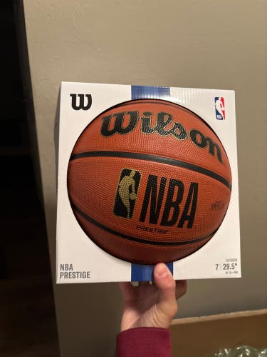 Wilson Basketball (New) official size