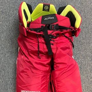 Stadium Series Detroit Red Wings Warrior alpha Hockey Pants Game Worn Chairot