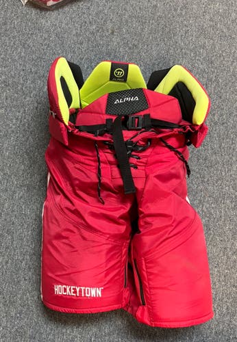 Stadium Series Detroit Red Wings Warrior alpha Hockey Pants Game Worn Chairot