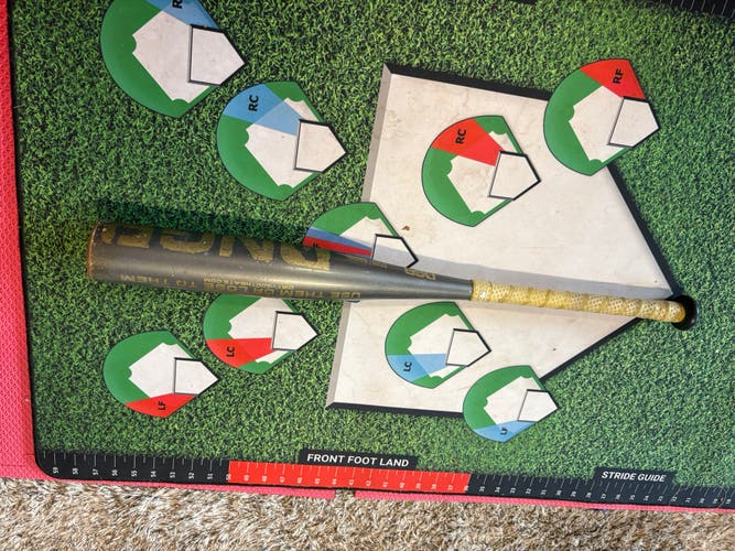 Dirty South DNGR USSSA Certified Bat (-8) 21 oz 29" (Used)