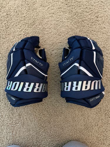 Warrior Alpha LX Pro Gloves 13" (Used)