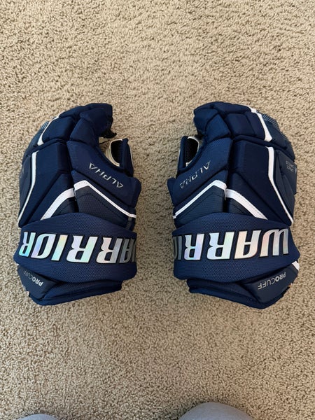 Warrior Alpha LX 2 Pro Gloves 13" (Used)
