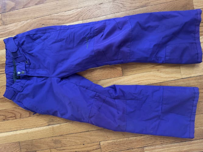 Purple Medium Girls Arc'teryx Pants (Used)