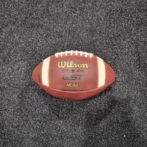 Adult Wilson Football (New)