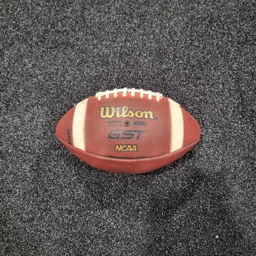 Adult Wilson Football (New)