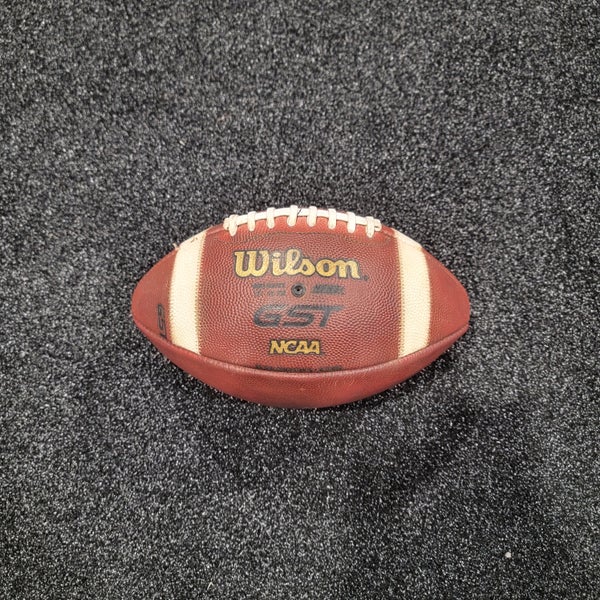 Adult Wilson Football (New)