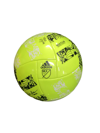 Used Small Bike Helmet