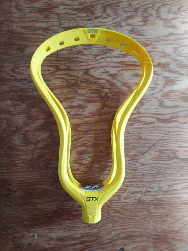 Lemonade STX Unstrung Stallion 1K Head