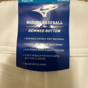 Mizuno baseball pants. Youth size small.
(Brand New). Performance plus padding.