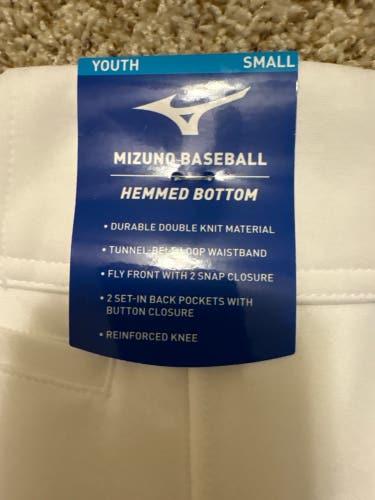 Mizuno baseball pants. Youth size small.
(Brand New). Performance plus padding.