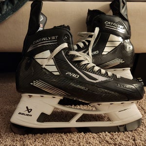 Nic Roy True Cat Pro Skates with new holders (288, Sen. 10)