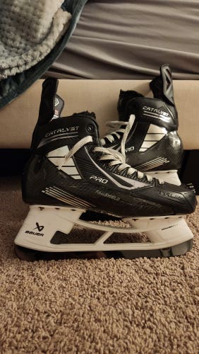 Nic Roy True Cat Pro Skates with new holders (288, Sen. 10)