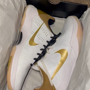 Men's Size M 12.0 (W 13.0) Shoes