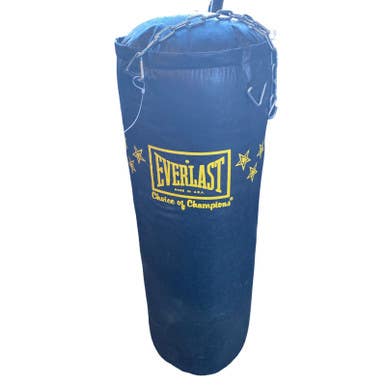 Used Everlast Exercise Accessory Other 11883-S000148678