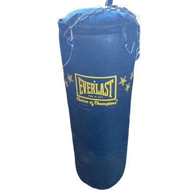 Used Everlast Exercise Accessory Other 11883-S000148678
