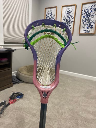 Powell Pioneer Strung Head (New)