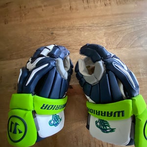 Chesapeake Bayhawks Lacrosse gloves(New)