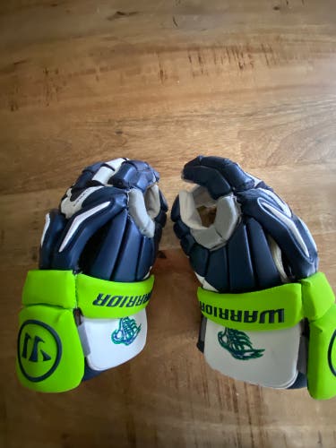 Chesapeake Bayhawks Lacrosse gloves(New)