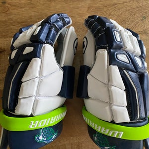Chesapeake Bayhawks goalie gloves (New)
