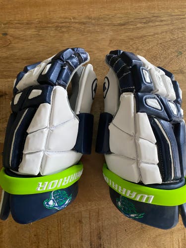 Chesapeake Bayhawks goalie gloves (New)
