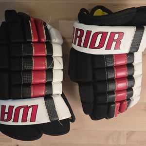 Warrior Franchise Gloves 13" Custom Palms