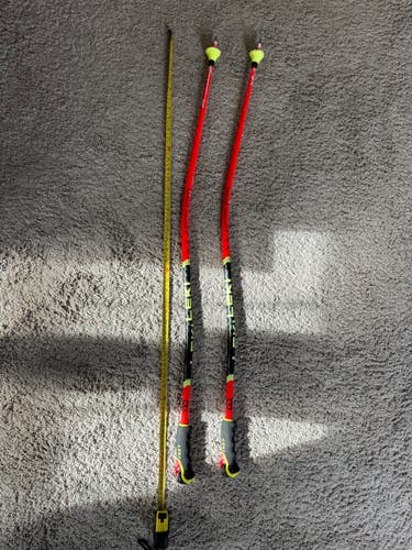 44in (110cm) Leki Racing World Cup Lite GS Ski Poles (Used)