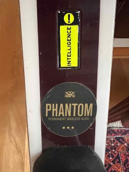 Unisex Racing 171 cm HEAD World Cup Rebels e-GS RD Skis With Bindings Max Din 11 (Used)