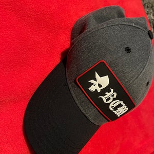 Gray Adult Unisex One Size Fits All Hat (Used)