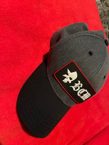 Gray Adult Unisex One Size Fits All Hat (Used)