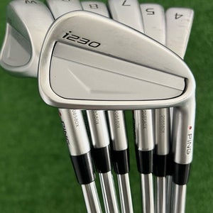 Ping i230 Iron Set 4-W / NS Pro Modus Tour 125 Extra Stiff