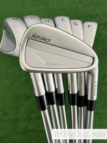 Ping i230 Iron Set 4-W / NS Pro Modus Tour 125 Extra Stiff