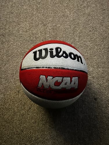 Men's Wilson Basketball (Used)