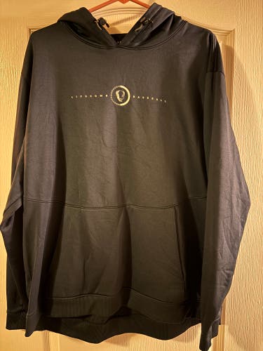 Player issued baseball hoodie