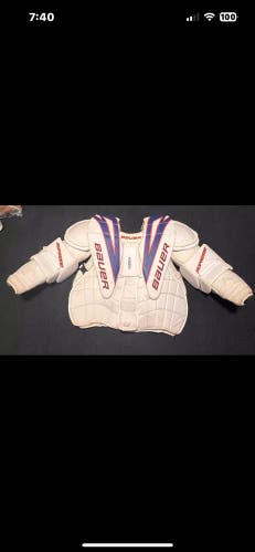 XL Pro Stock Dubnyk Bauer One95