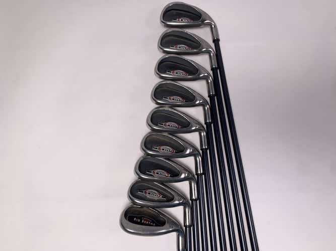 Callaway Big Bertha 2002 Iron Set 4-PW+GW+SW RCH 75i Regular Graphite Mens RH