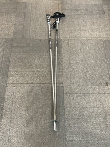 Used Scott A12 Mens DH Ski Pole Grey 120 cm / 48 in 11614-S000225548