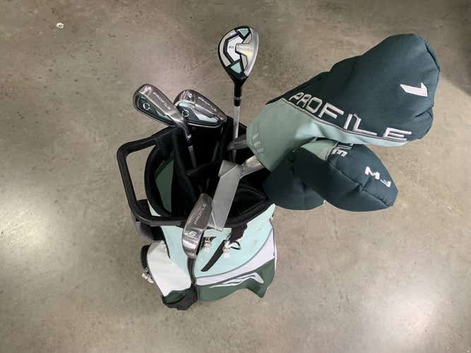 Wilson Profile SG1 Club Set Driver 5W 5H 6-9 SW Putter Ladies RH HC +Bag - Dent