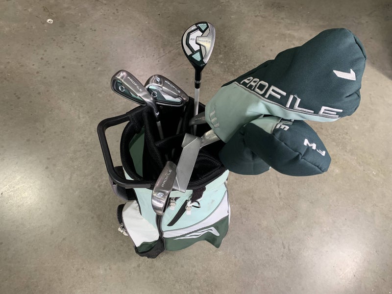 Wilson Profile SG1 Club Set Driver 5W 5H 6-9 SW Putter Ladies RH HC +Bag - Dent