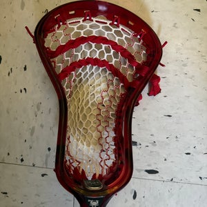 ECD Ion Strung Head (New)